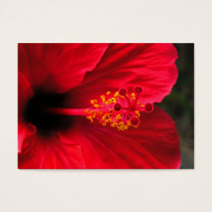 Red hibiscus visitkort
