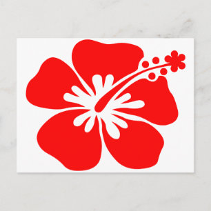 Red hibiscus vykort