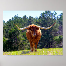 Red-Hjärn Texas Longhorn Poster