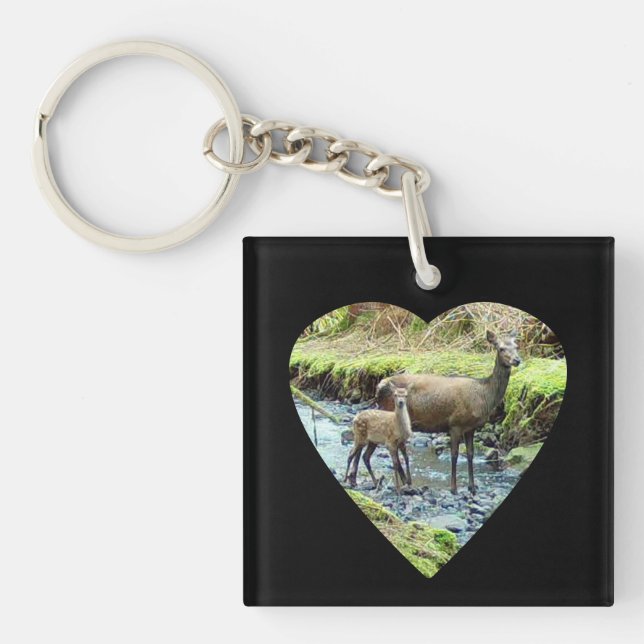 Red Hjort Doe och Baby Hjort (Framsidan)