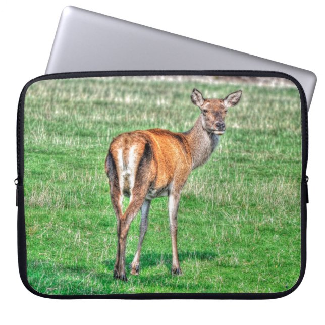 Red Hjort & Fält Wildlife Animal Design Laptop Sleeve (Framsidan)