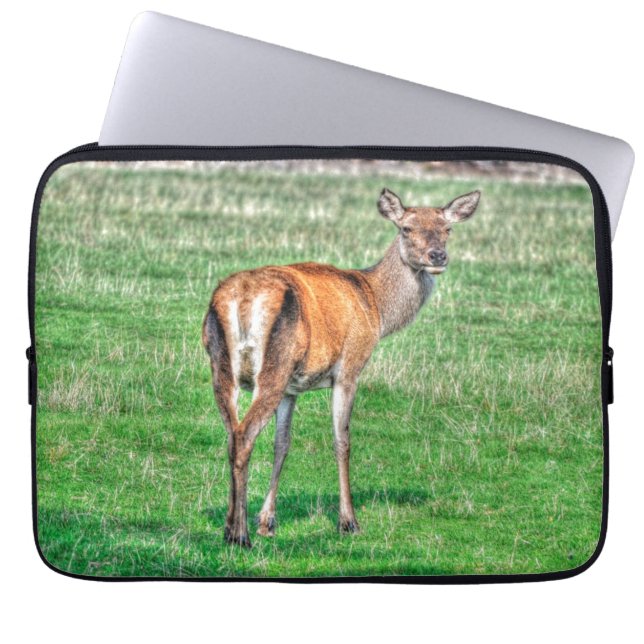 Red Hjort & Fält Wildlife Animal Design Laptop Sleeve (Framsidan)