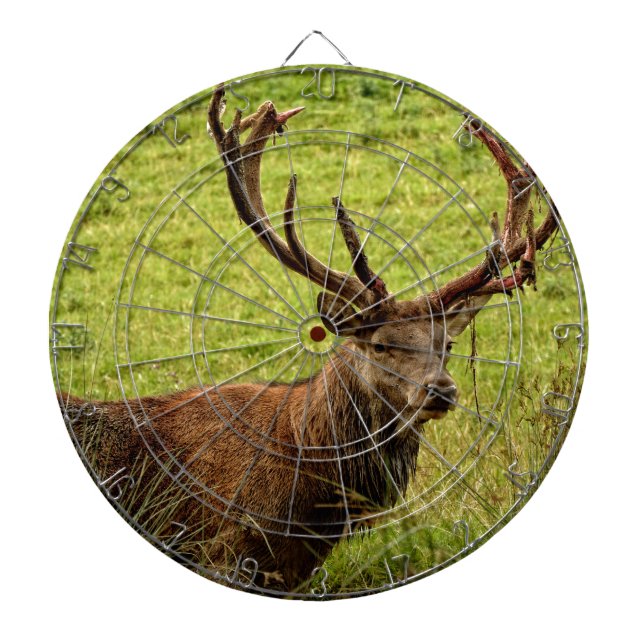 Red Hjort Stag Darttavla (Framsidan)