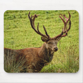 Red Hjort Stag Musmatta