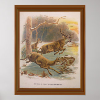 Red Hjort Vintage Illustration 1800-talskonst Poster