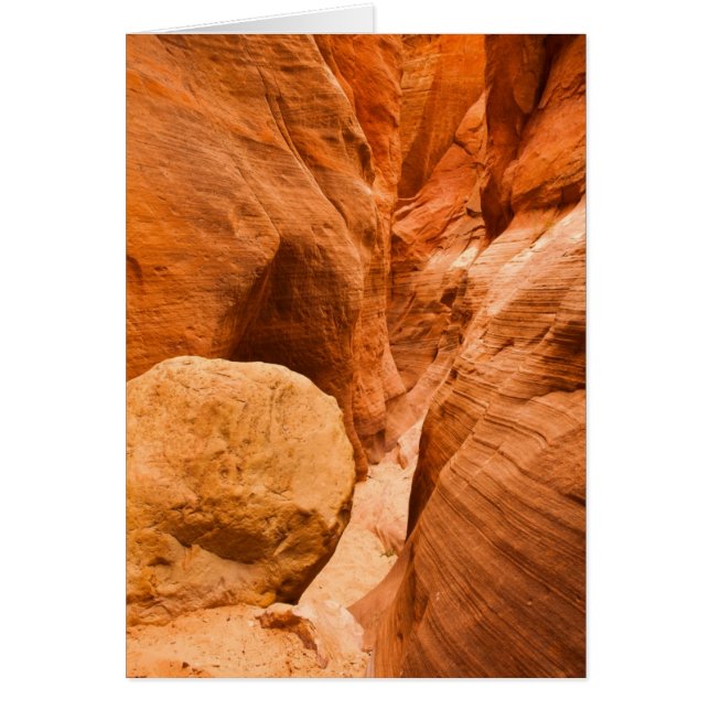 Red Hollow Slot Canyon Hälsningskort (Framsidan)