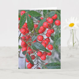 Red Holly Berry Gren och Snö Helgdag jul Kort