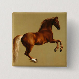 RED HORSE KNAPP