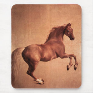 RED HORSE MUSMATTA