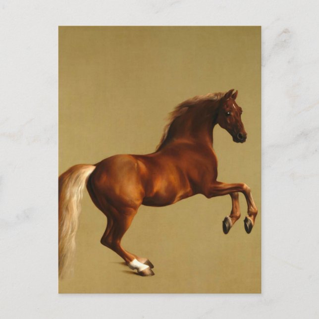 RED HORSE VYKORT (Framsida)