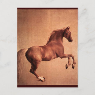 RED HORSE VYKORT