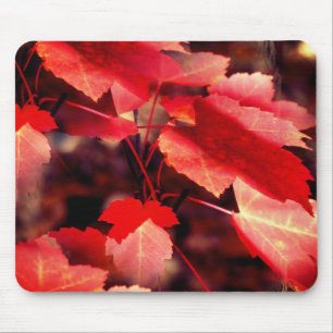 Red Höst löv Nature Musmatta