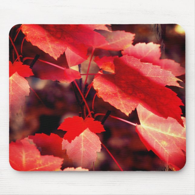 Red Höst löv Nature Musmatta (Framsidan)