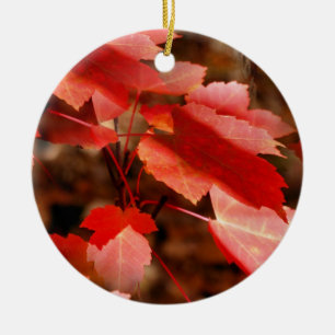 Red Höst löv Nature Ornament
