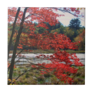 Red Höst löv Pond Nature Art Tile Kakelplatta