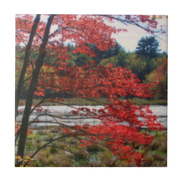 Red Höst löv Pond Nature Art Tile Kakelplatta (Framsidan)