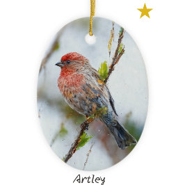 Red House Finch Bird Painting Anpassningsbar Helgd Julgransprydnad Keramik