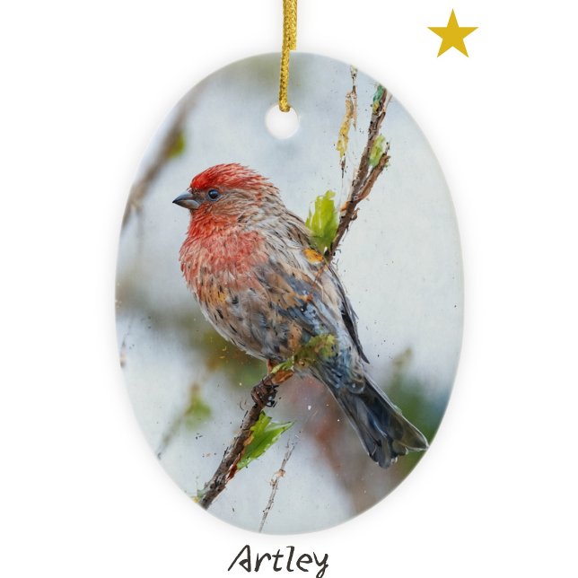 Red House Finch Bird Painting Anpassningsbar Helgd Julgransprydnad Keramik (Skapare uppladdad)