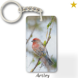 Red House Finch Bird Painting - första Fågelskådar