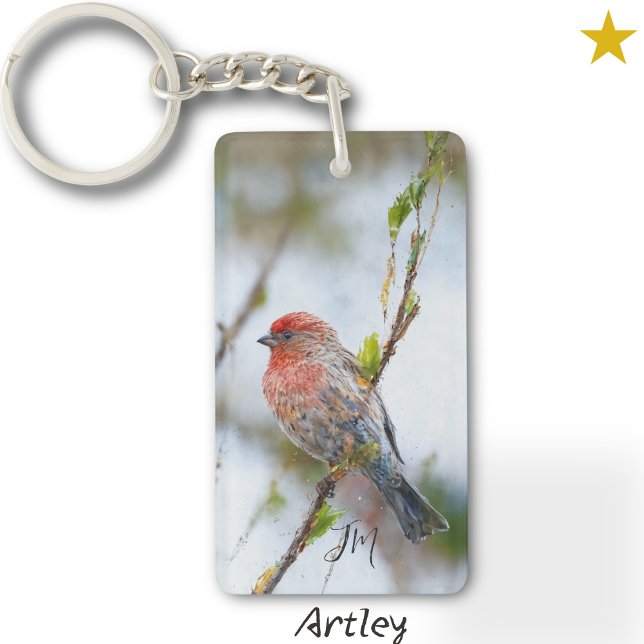Red House Finch Bird Painting - första Fågelskådar (Skapare uppladdad)