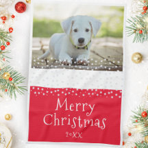 Red Hund Pet Photo Stars God jul