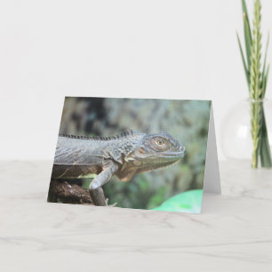 Red Iguana Helgkort