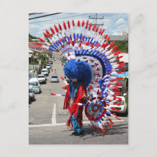 Red Indian Costume, Traditional Mas, Carnival Vykort