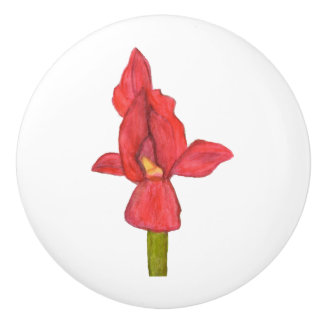 Red Iris Drawer Drag Knopp