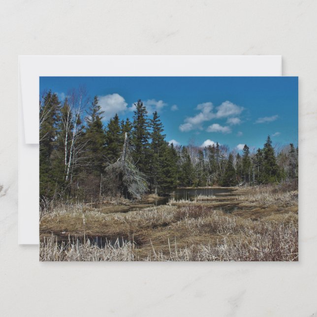 Red Island Pond (Framsida)