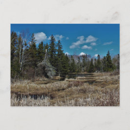 Red Island Pond Vykort