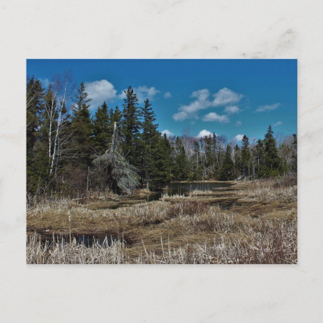 Red Island Pond Vykort (Framsida)