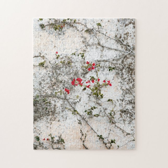 Red Ivy on White Wall Pussel (Vertikal)