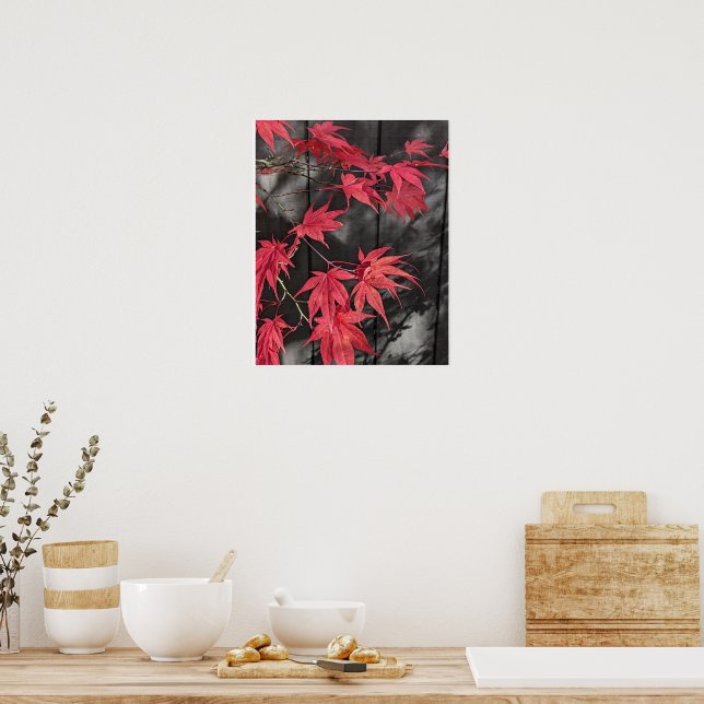 Red Japanese Maple Leaf Shadows Poster (Kök)