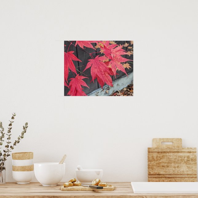 Red Japanese Maple Leaves Botancial Poster (Kök)