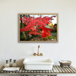 Red Japansk aple och Garden Shrine Fototryck