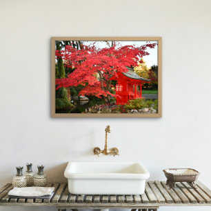 Red Japansk aple och Garden Shrine Fototryck