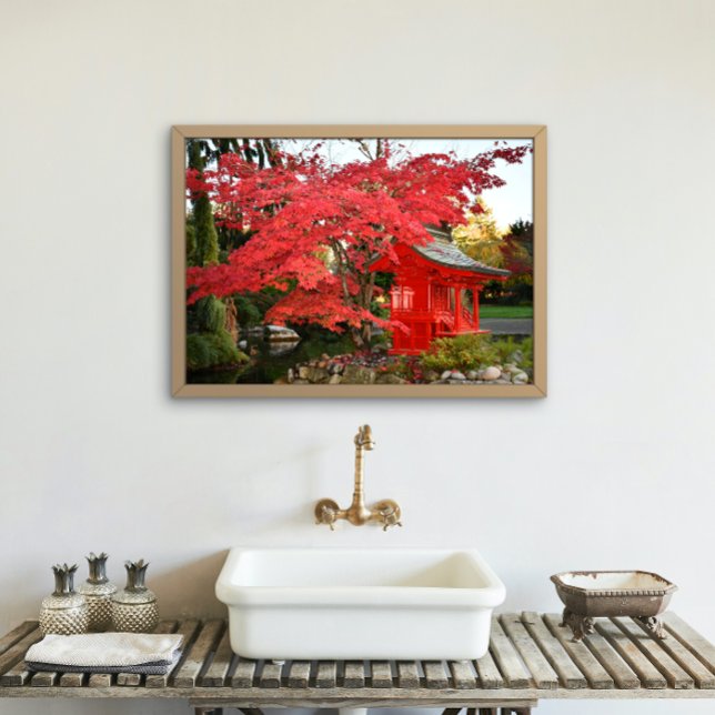 Red Japansk aple och Garden Shrine Fototryck (In Situ Framed)