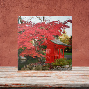 Red Japansk aple och Garden Shrine Kakelplatta