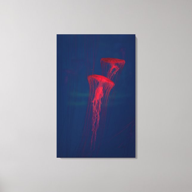 Red Jellyfish Canvastryck (Framsida)