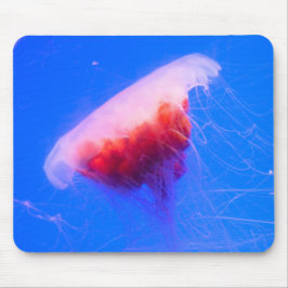 Red Jellyfish Musmatta