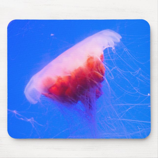 Red Jellyfish Musmatta (Framsidan)