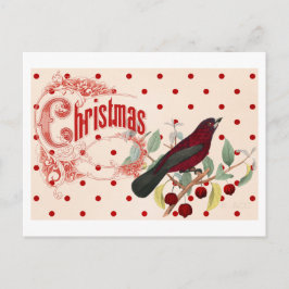 Red jul Bird Helg Vykort