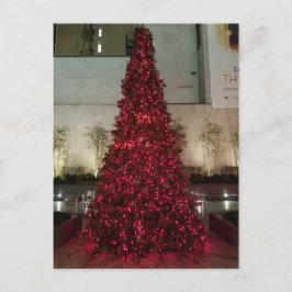 Red Julgran - NYC Vykort