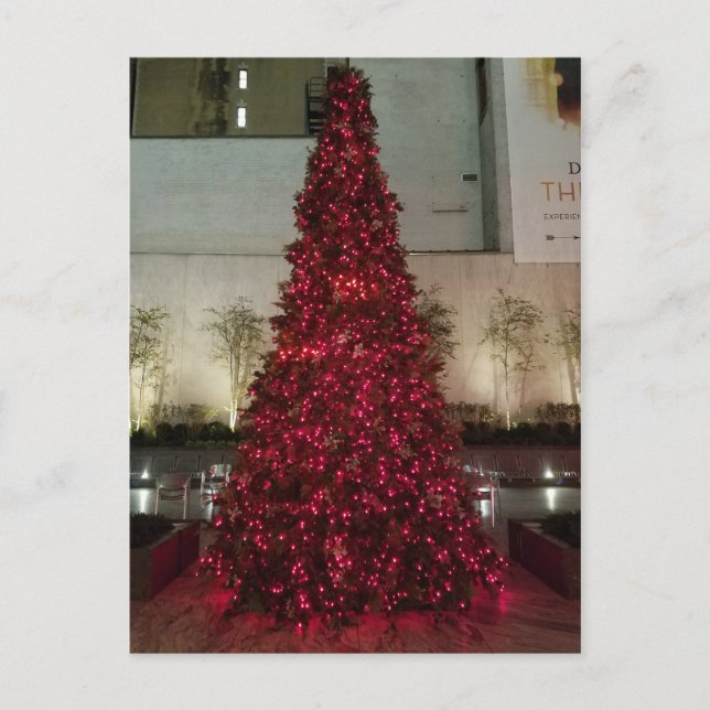 Red Julgran - NYC Vykort (Framsida)