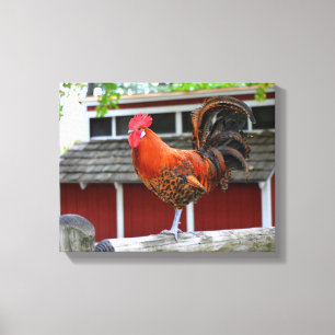 Red Junglefowl Tupp på ett stängsel Canvastryck