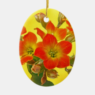 Red Kalanchoe - Succulent Sunshine Julgransprydnad Keramik