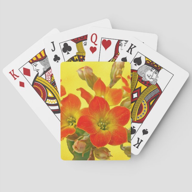 Red Kalanchoe - Succulent Sunshine Spel Kort (Baksidan)