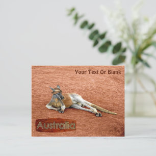 Red Kangaroo in Slouch Hat Vykort