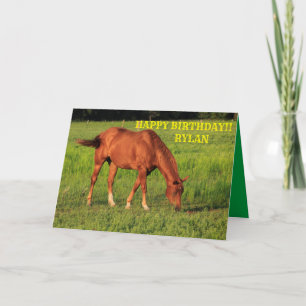 Red Kansas Land Horse Birthday Greeting Card Kort