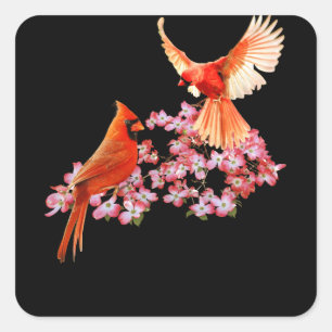 Red Kardinal Bird and Rosa Blommar Dogwood Fyrkantigt Klistermärke